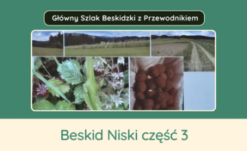 Beskid Niski cz. 3 - uroki Magurskiego Parku Narodowego